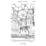 VIOLLET-LE-DUC - Entretiens sur l'architecture - T2