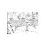 Crafty - Paris sportifs - Anciens et nouveaux sports