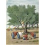 Charles LALLEMAND - La Tunisie. Pays de protectorat Français